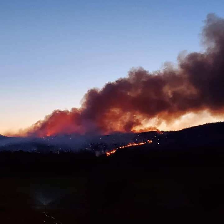 Cayuse Mt Fire